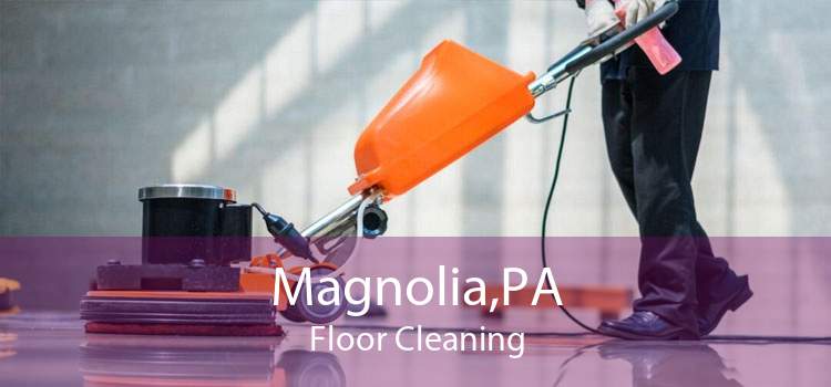 Magnolia,PA Floor Cleaning