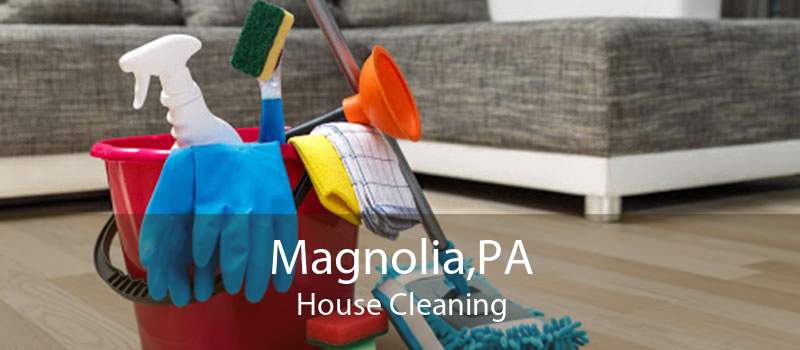 Magnolia,PA House Cleaning