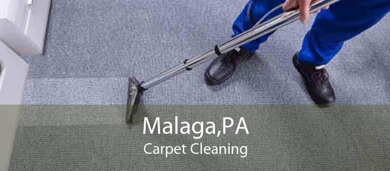 Malaga,PA Carpet Cleaning