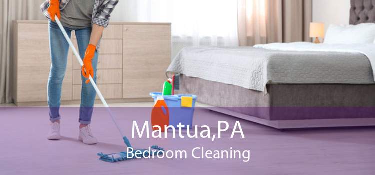 Mantua,PA Bedroom Cleaning