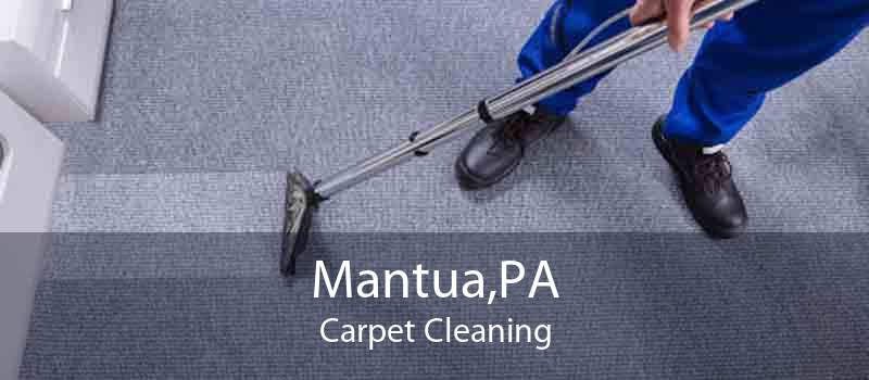 Mantua,PA Carpet Cleaning