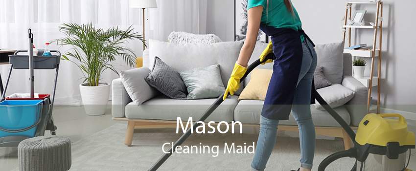 Mason Cleaning Maid