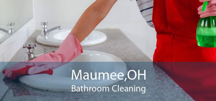 Maumee,OH Bathroom Cleaning