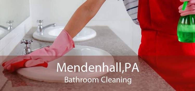 Mendenhall,PA Bathroom Cleaning