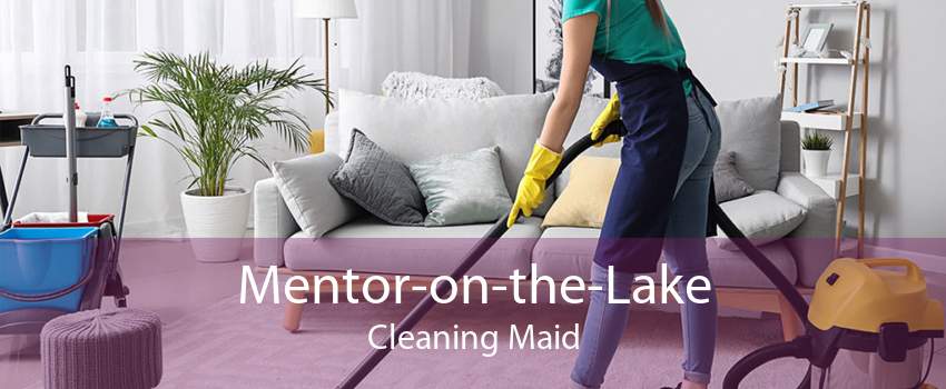 Mentor-on-the-Lake Cleaning Maid