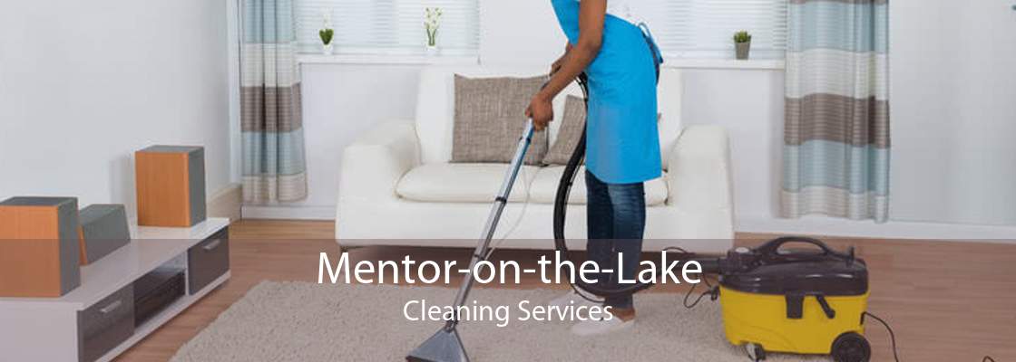 Mentor-on-the-Lake Cleaning Services