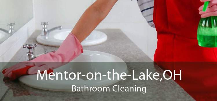 Mentor-on-the-Lake,OH Bathroom Cleaning