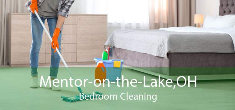 Mentor-on-the-Lake,OH Bedroom Cleaning