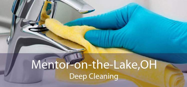 Mentor-on-the-Lake,OH Deep Cleaning