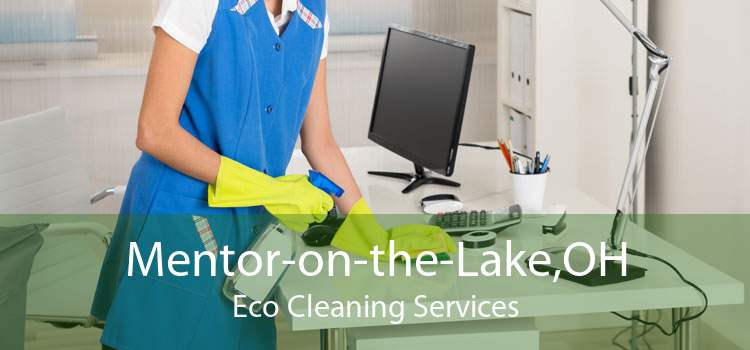 Mentor-on-the-Lake,OH Eco Cleaning Services