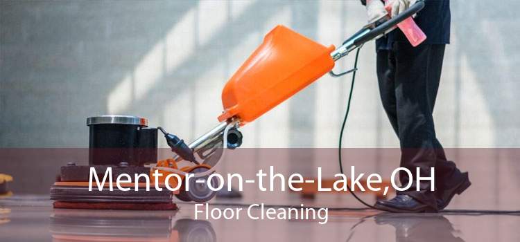Mentor-on-the-Lake,OH Floor Cleaning