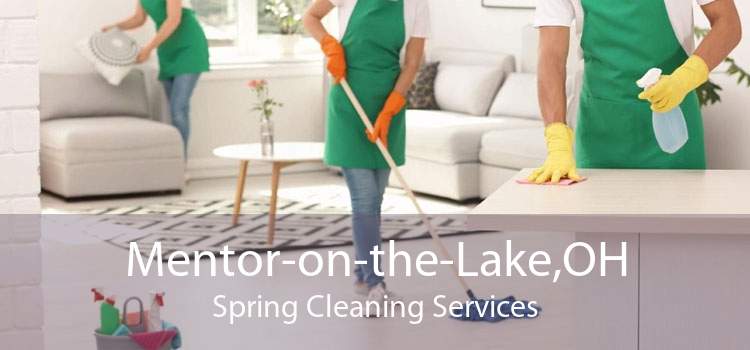 Mentor-on-the-Lake,OH Spring Cleaning Services