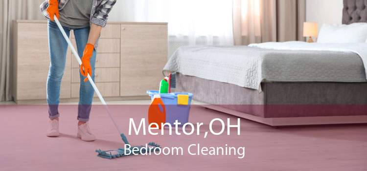 Mentor,OH Bedroom Cleaning