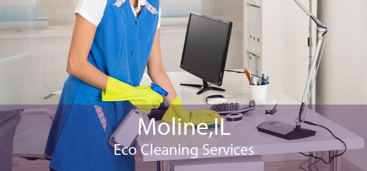 Moline,IL Eco Cleaning Services