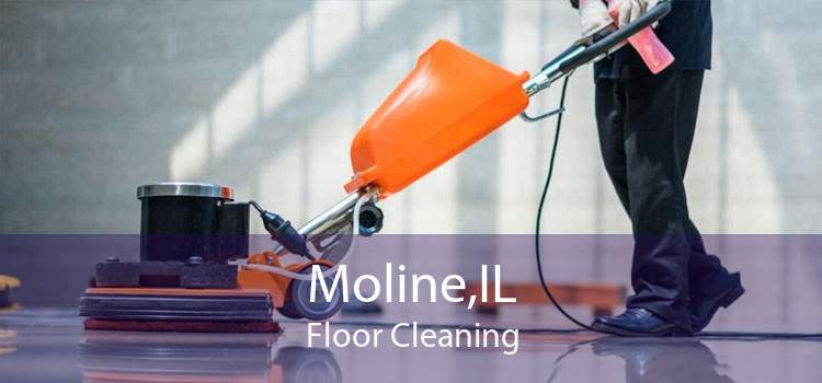 Moline,IL Floor Cleaning