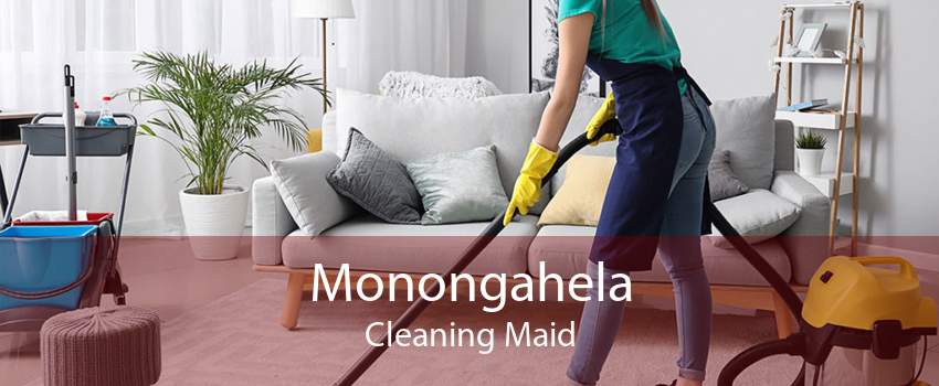 Monongahela Cleaning Maid