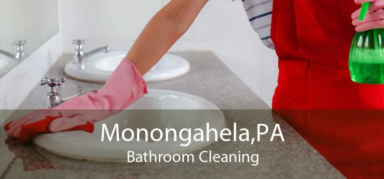 Monongahela,PA Bathroom Cleaning