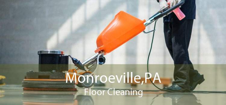 Monroeville,PA Floor Cleaning