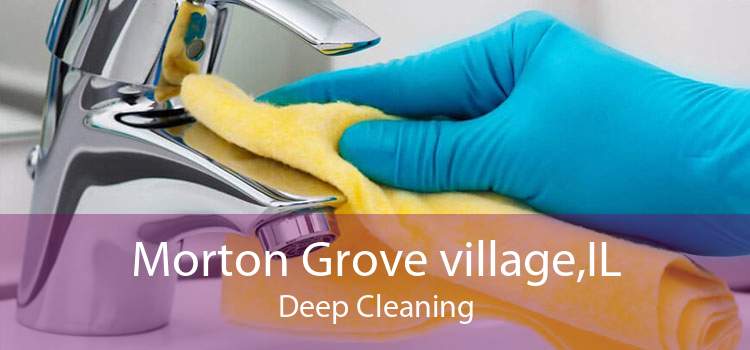 Morton Grove village,IL Deep Cleaning