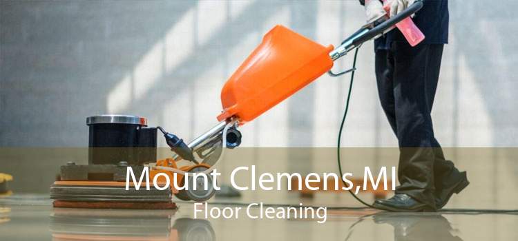 Mount Clemens,MI Floor Cleaning