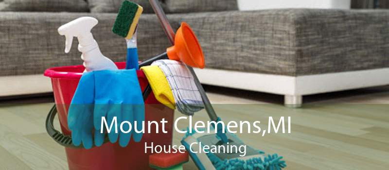 Mount Clemens,MI House Cleaning