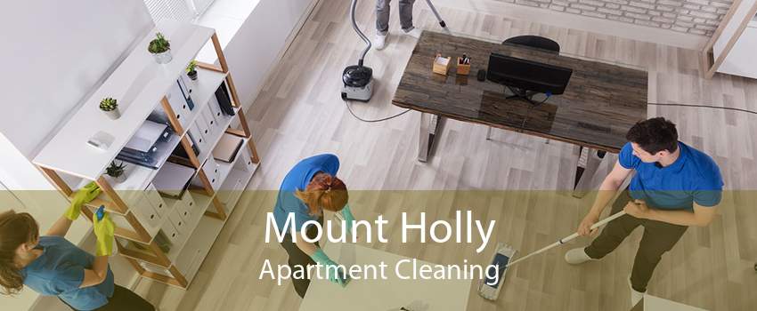 Mount Holly Apartment Cleaning