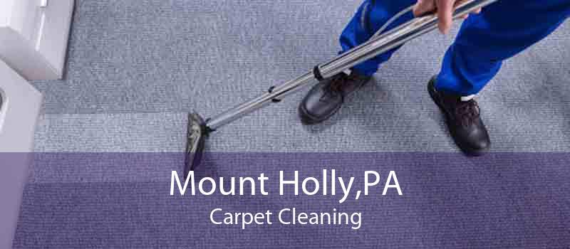 Mount Holly,PA Carpet Cleaning