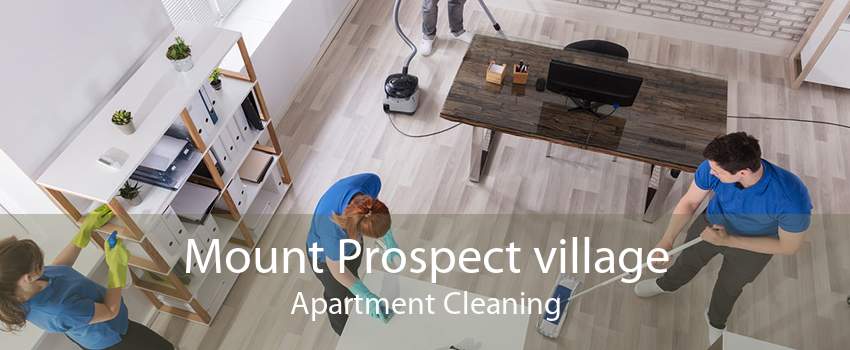 Mount Prospect village Apartment Cleaning