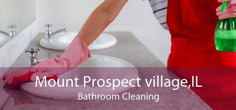 Mount Prospect village,IL Bathroom Cleaning
