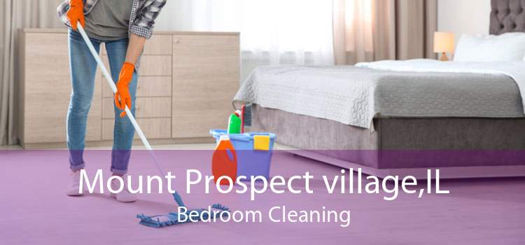 Mount Prospect village,IL Bedroom Cleaning