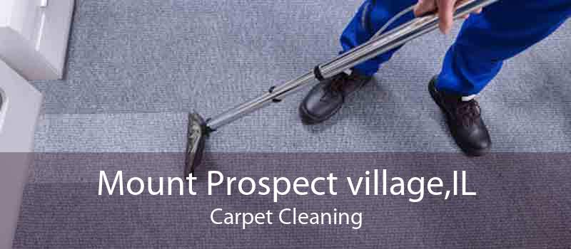 Mount Prospect village,IL Carpet Cleaning