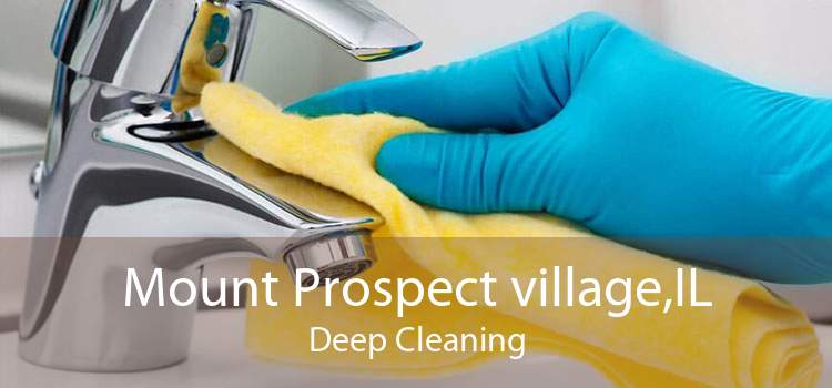 Mount Prospect village,IL Deep Cleaning