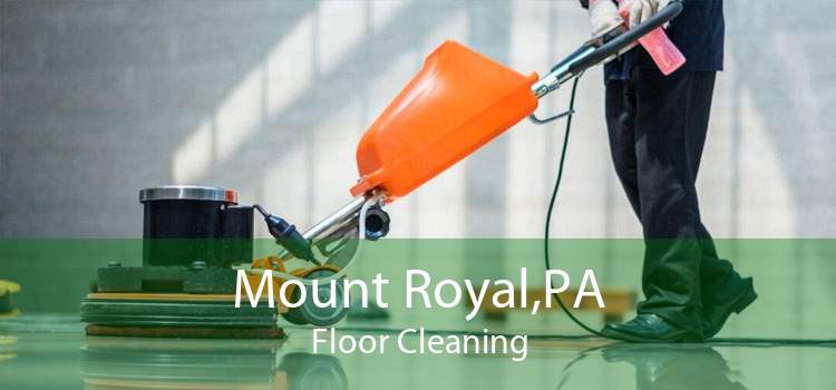 Mount Royal,PA Floor Cleaning