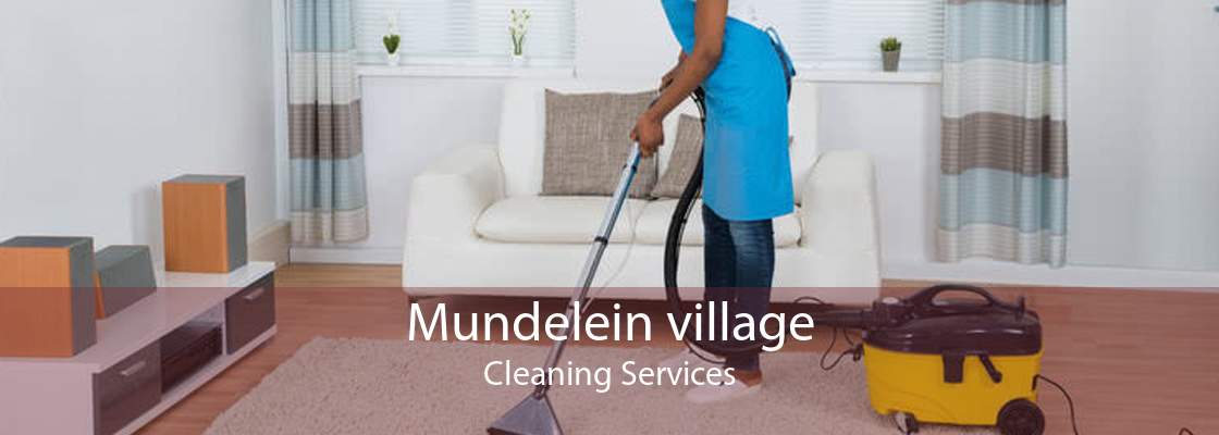 Mundelein village Cleaning Services