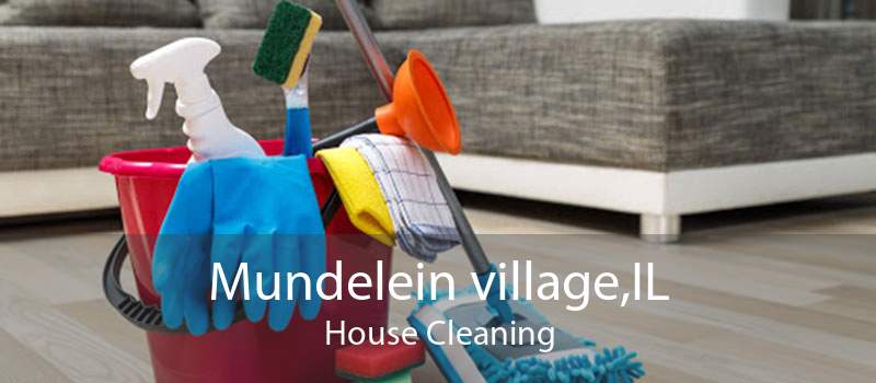 Mundelein village,IL House Cleaning
