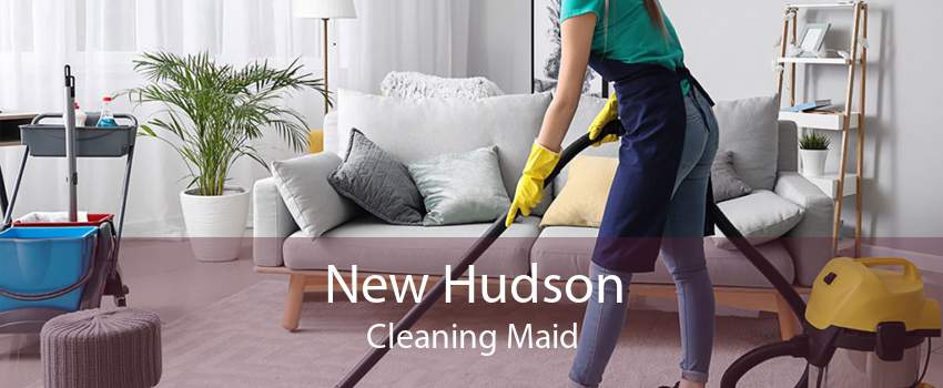 New Hudson Cleaning Maid