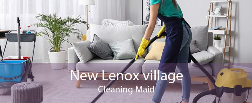 New Lenox village Cleaning Maid