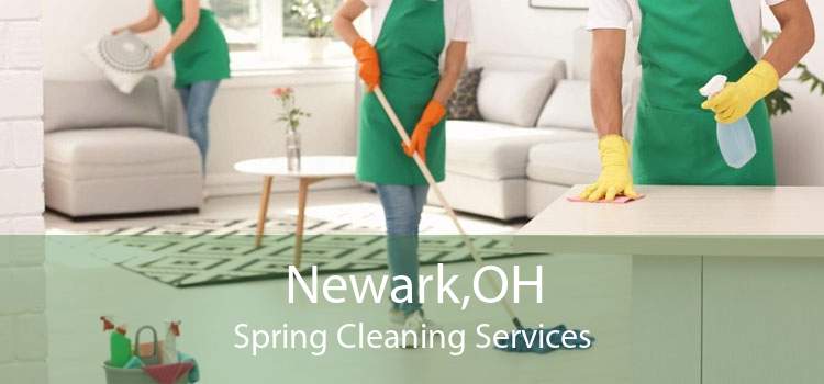 Newark,OH Spring Cleaning Services