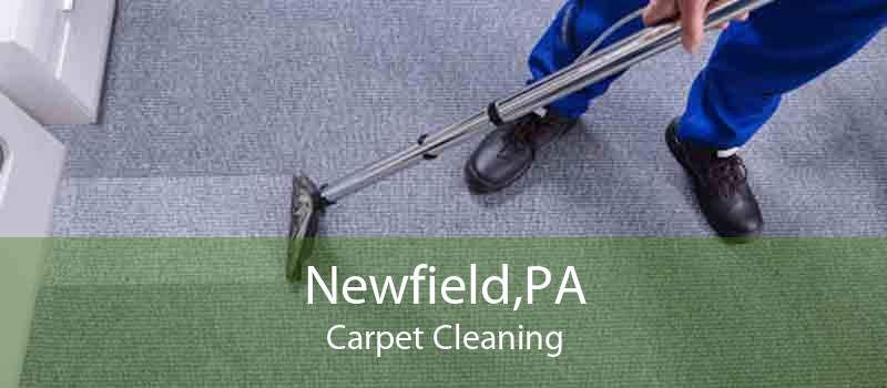 Newfield,PA Carpet Cleaning