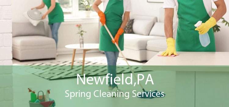 Newfield,PA Spring Cleaning Services