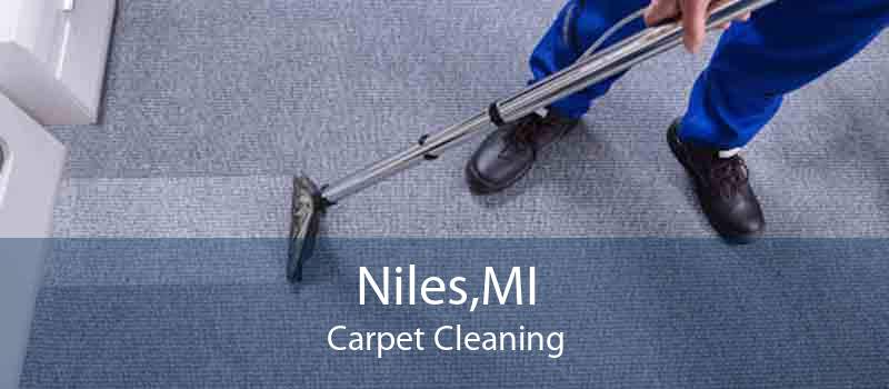 Niles,MI Carpet Cleaning