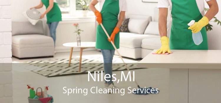 Niles,MI Spring Cleaning Services