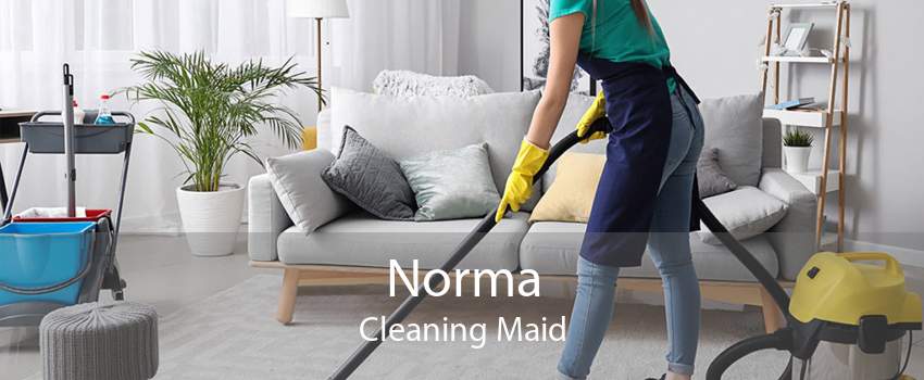 Norma Cleaning Maid