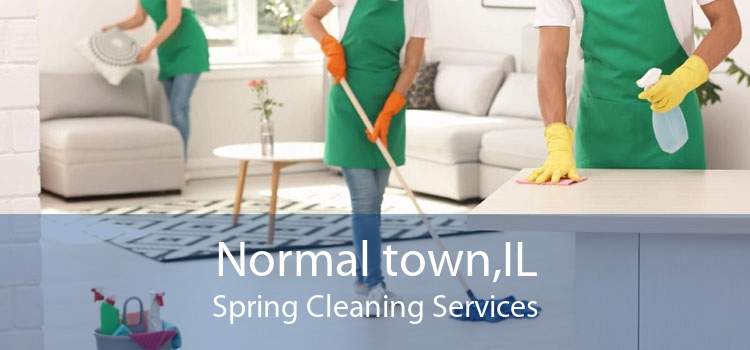 Normal town,IL Spring Cleaning Services