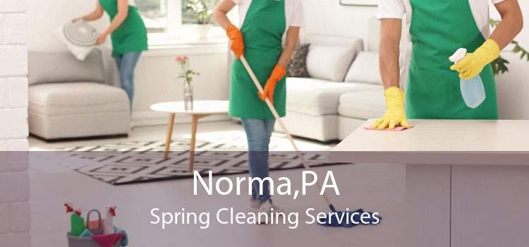 Norma,PA Spring Cleaning Services