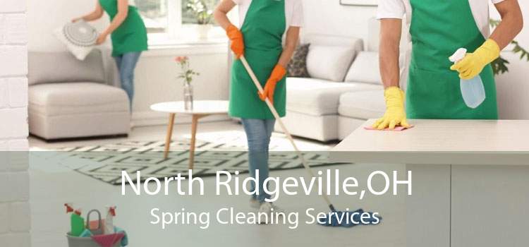 North Ridgeville,OH Spring Cleaning Services