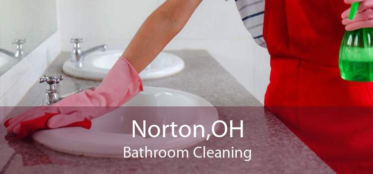 Norton,OH Bathroom Cleaning