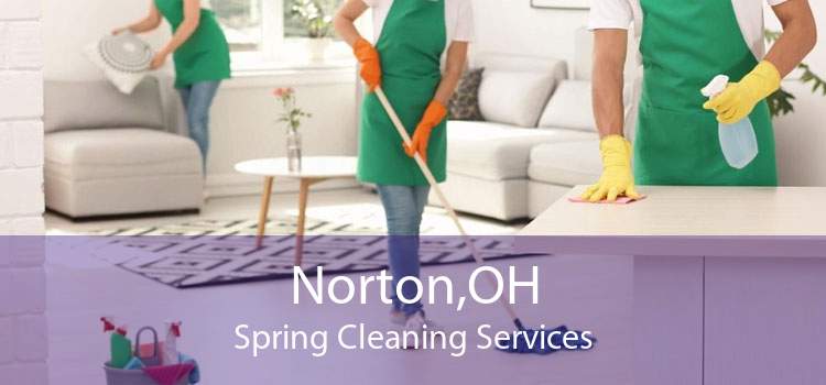 Norton,OH Spring Cleaning Services