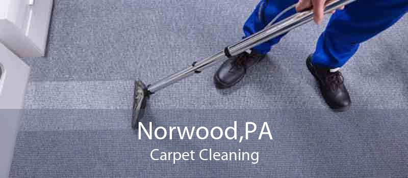 Norwood,PA Carpet Cleaning