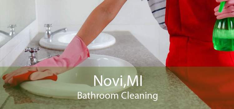 Novi,MI Bathroom Cleaning